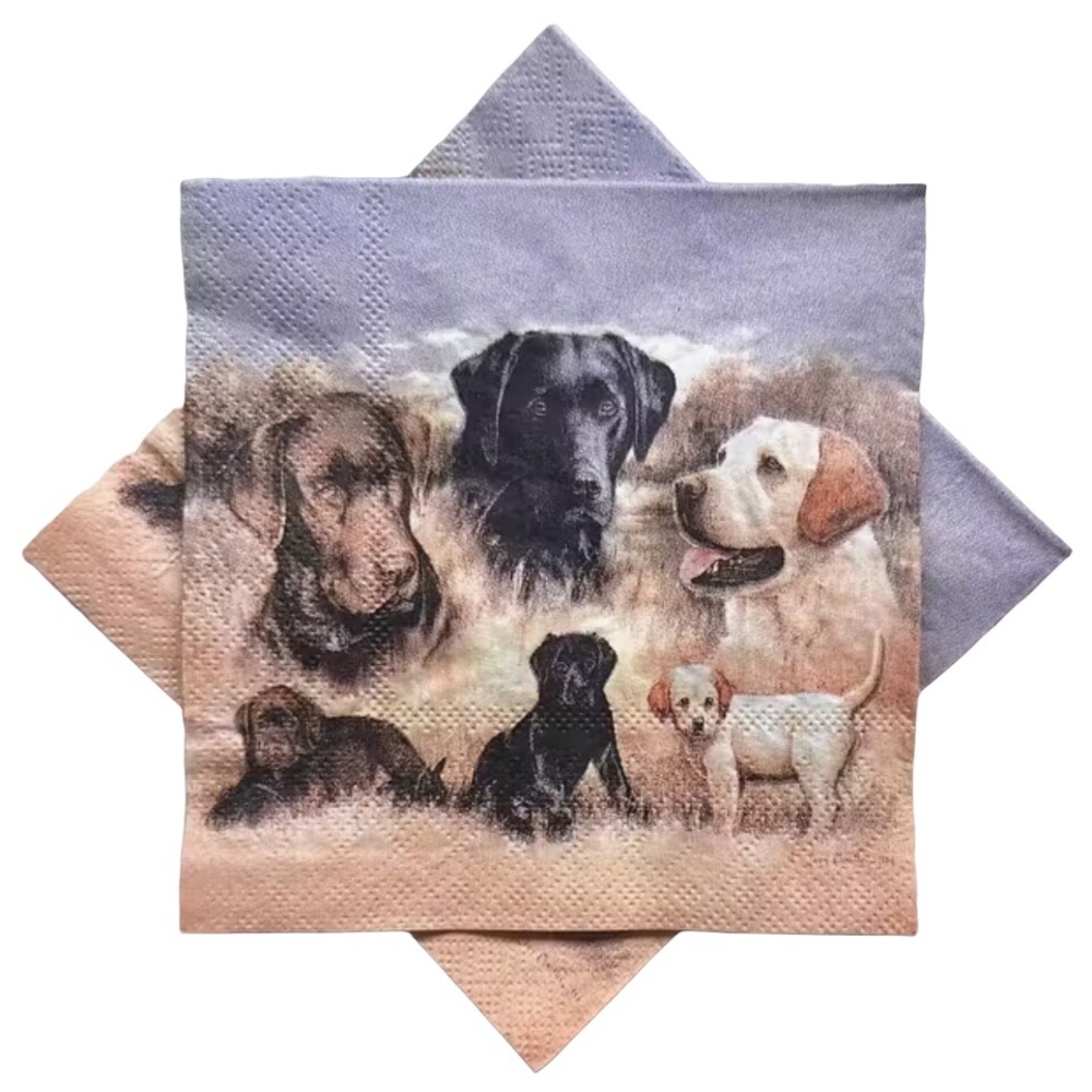 Set of Two (2) Individual Hunting Dogs DIY Decoupage Cocktail Size Napkins